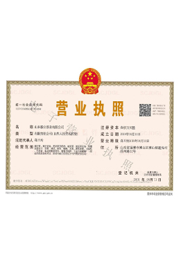 電(diàn)子(zǐ)營業執(zhí)照(zhào)